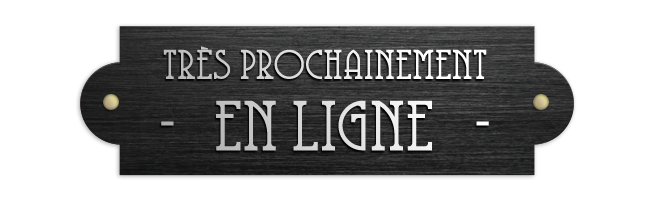 Très prochainement en ligne